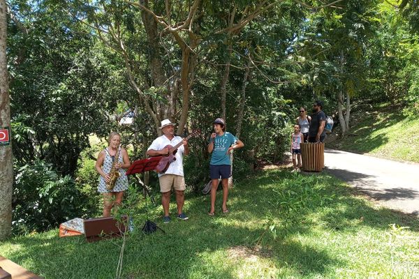 Musique Parc forestier