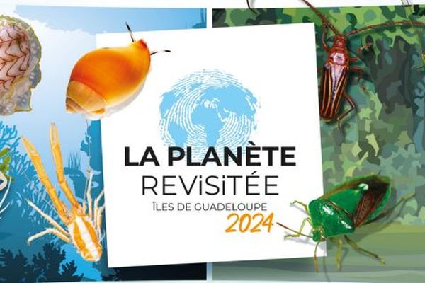 La mission d'exploration scientifique de la biodiversité, "La Planète Revisitée" sera dans les îles de Guadeloupe à partir du 27/09/24