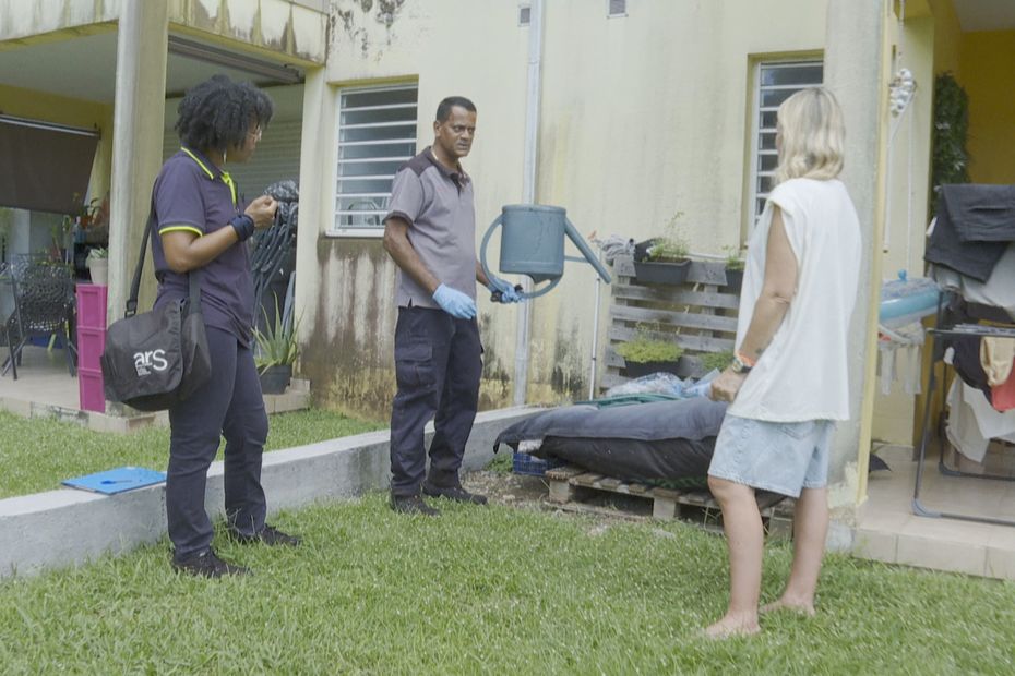 Guadeloupe is experiencing an upsurge in dengue cases