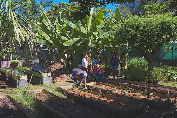 Tous les mercredi et vendredi matins, les récoltes du potager sont disponibles à la vente directement au centre.