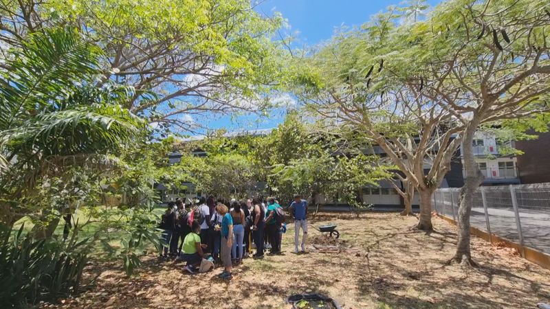 "Time Capsule" du lycée de PortLouis  quels jeunes gens étaientils