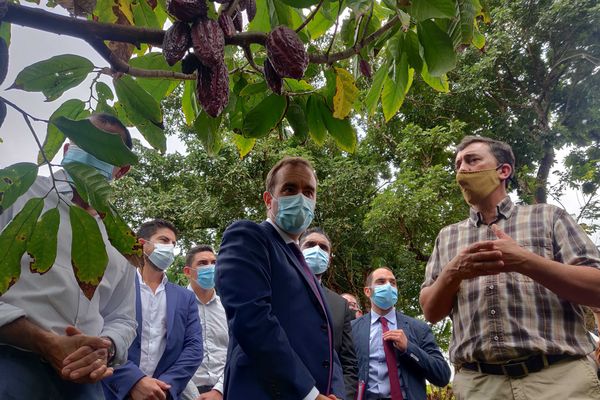 Agriculture : le ministre des Outre-mer, Sébastien Lecornu, visite la Plantation Mélissa à Saint-Benoît.