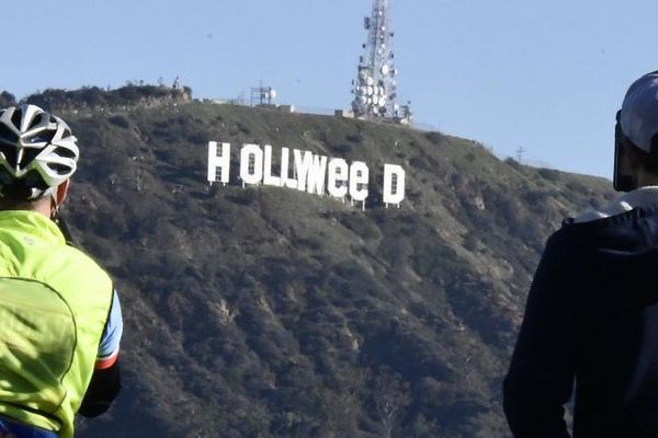 hollyweed