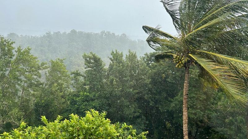 Météo / pluie / vent / vigilance / intempérie /