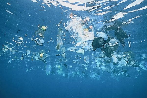 Plastique océan 3 décembre 2024