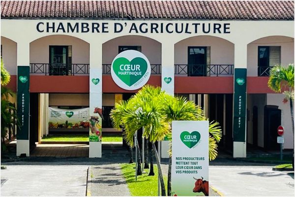 Siège de la chambre d'agriculture de Martinique au Lamentin.