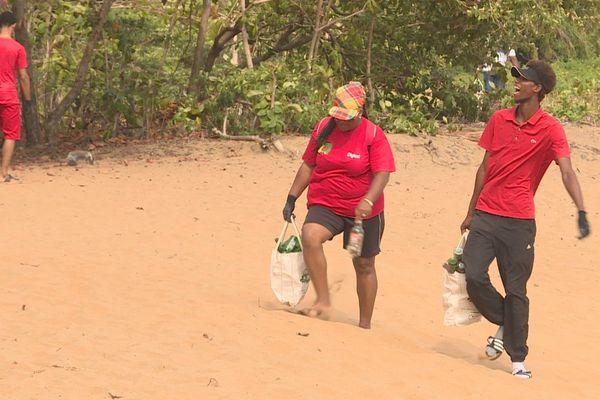 Des collecteurs bénévoles sur la plage de Gosselin Green days Green beach 2019