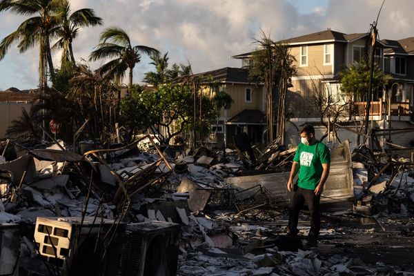 Un homme regarde les dommages causés par un incendie de forêt à Lahaina, dans l'ouest de Maui, à Hawaï, le 12 août 2023.