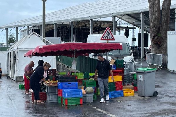 À cause du futur cyclone Belal, Miel Vert ferme ses portes