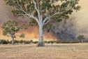 Incendies en Australie : les autorités appellent à évacuer des dizaines de localités