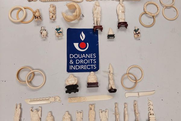 objets en ivoire confisqués par la douane