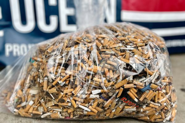 Plus de 12 000 mégots de cigarettes ont été ramassés en une heure aux abords de l'aéroport Roland Garros