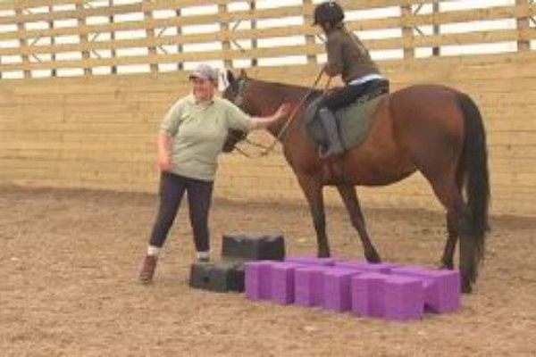 Au Club d'équitation de Saint-Pierre, des jeux équestres proposés aux cavaliers