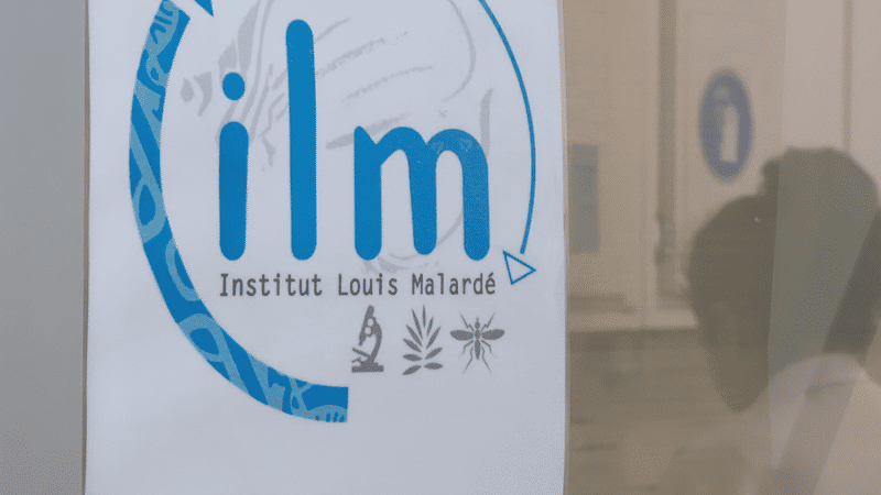 ILM wants to analyze your blood to better prevent epidemics