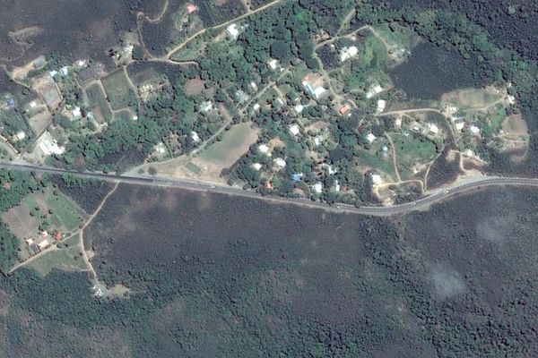 Secteur col de La Pirogue entre tribu de Saint-Laurent et Conservatoire de l'igname