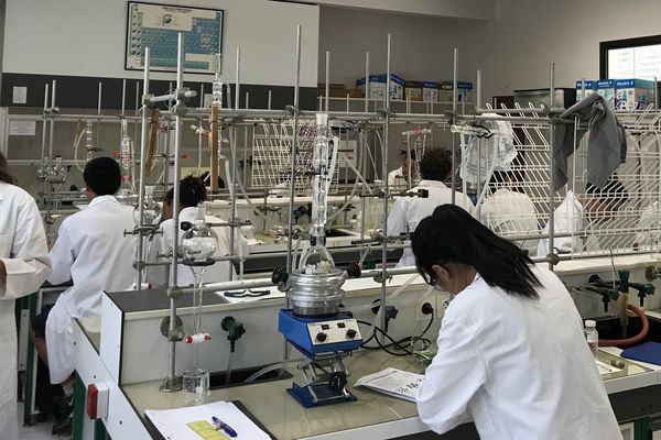 Préparation Olympiades de chimie premier jour à l'université (7 août 2017)