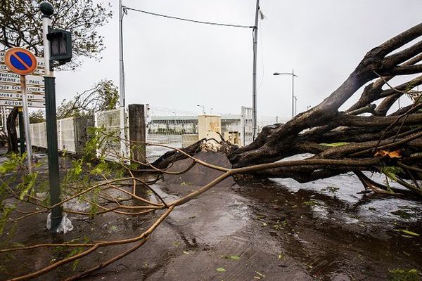 Maria: 60.000 foyers toujours privés d'électricité 