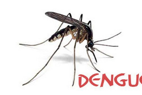 Dengue