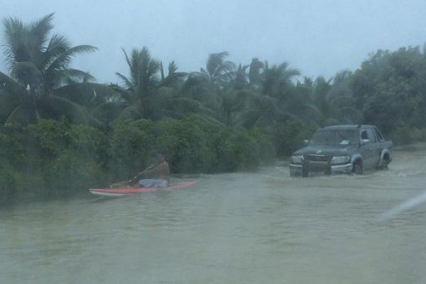 Insolite : des vaa sur les routes de Rangiroa