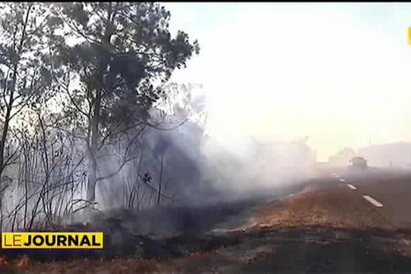 600 hectares partent en fumée en Nouvelle Calédonie