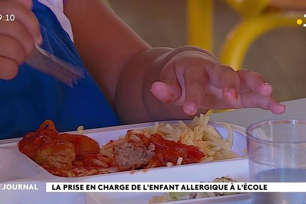 La prise en charge de l'enfant allergique à l'école 