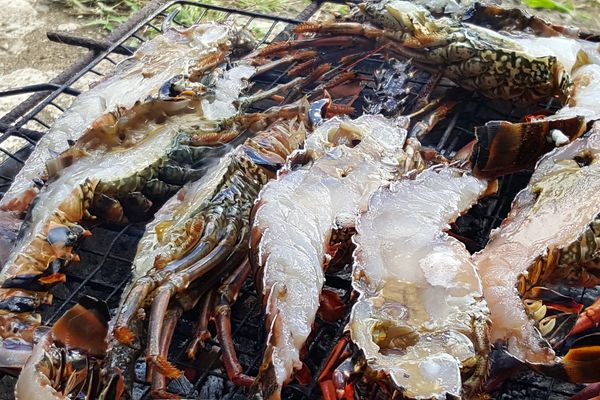 Langoustes grillées