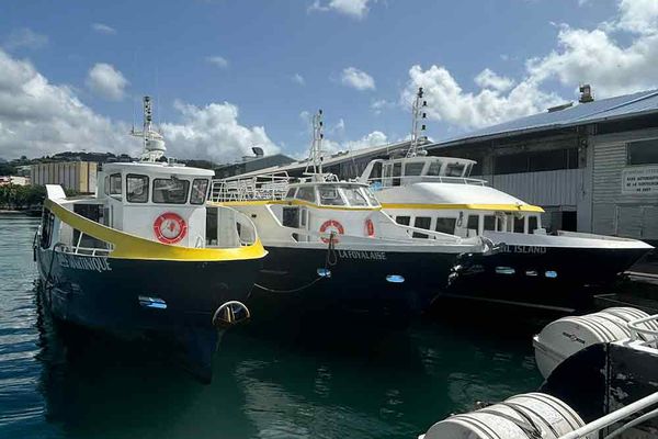 Des bateaux de la flotte Blue Lines dédiés aux navettes maritimes en Martinique (image d'illustration).