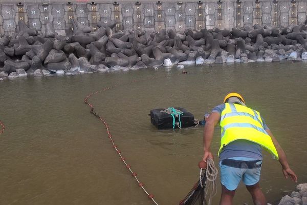 Les hommes du CRA ont bénéficié de l'aide de plusieurs professionnels spécialisés dans la pêche à la senne