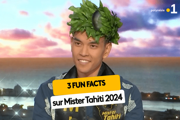 3 fun facts sur Mister Tahiti 2024