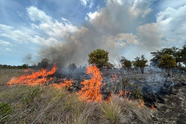 Le matin du 14 novembre, un important incendie ravage la forêt sèche entre l'aérodrome de Koné et le quartier Bellevue.