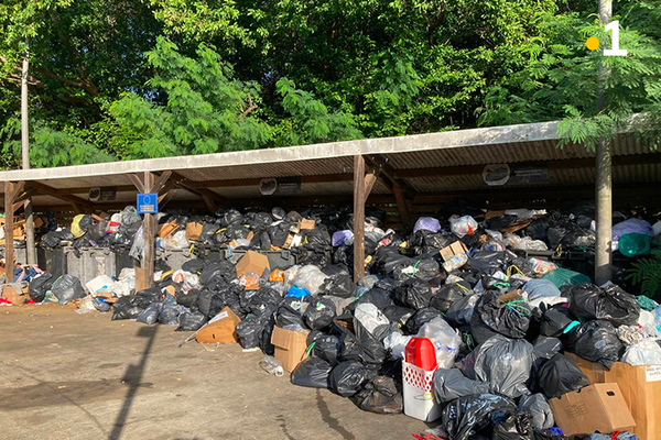 Les sacs poubelles sont si nombreux que les bennes ne sont même plus visibles.