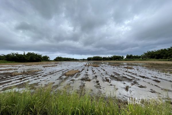 A Sainte-Suzanne, les agriculteurs constatent les dégâts, mais se réjouissent de la pluie