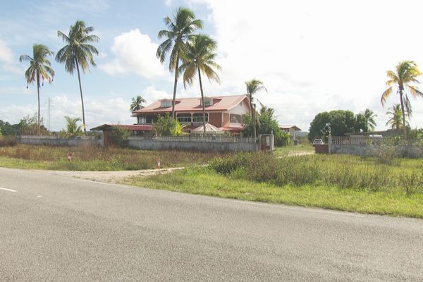 "Guyane spiruline" : une entreprise innovante en difficulté.