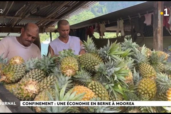 Situation économique catastrophique à Moorea