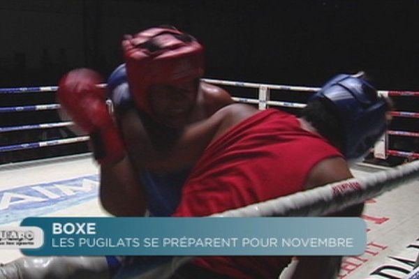 Boxe : les pugilats se préparent pour les championnats de novembre