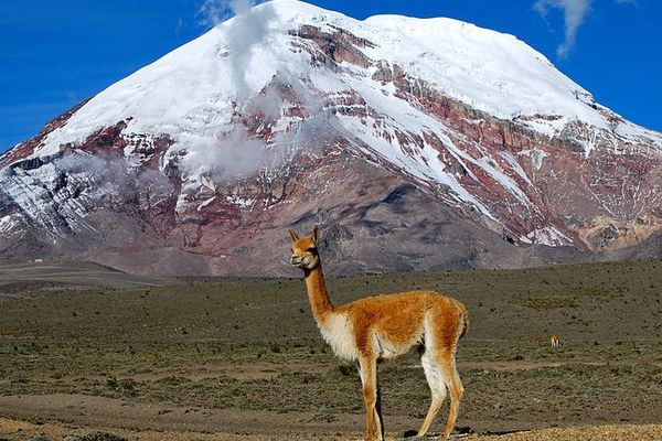 Volcan du Chimborazo en Equateur