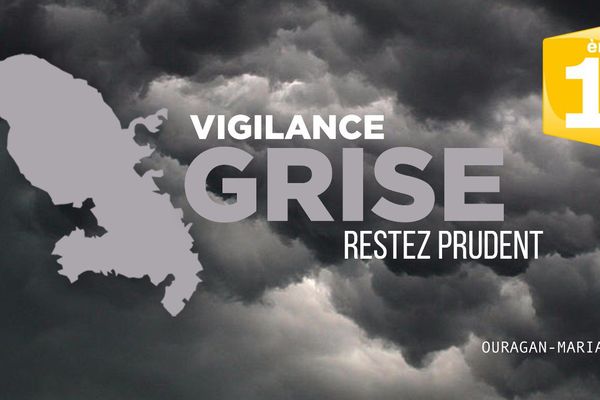 vigilance grise