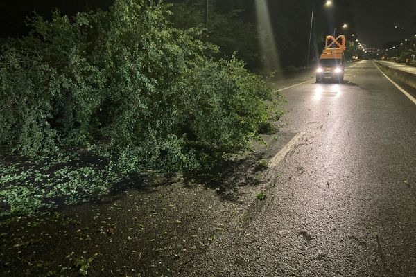 Des branches obstruant la quatre-voies avant le radar de la Jamaïque, en direction de Sainte-Marie