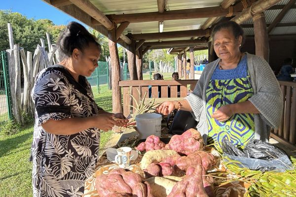 A l'île des Pins, la reprise du marché à Vao a été un soulagement.