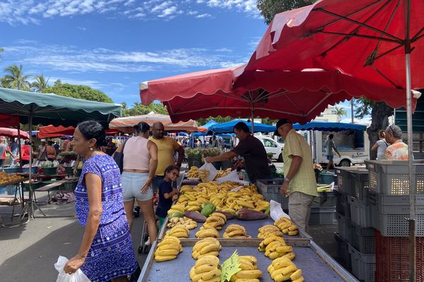 Les bananes péi vendues à petits prix au marché du Port