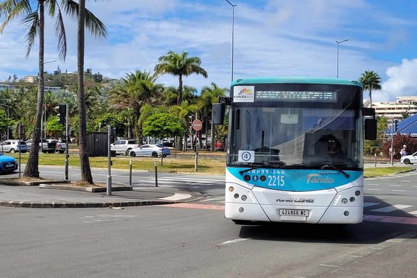 Un bus du réseau Tanéo opéré par le GIE Karuïa, samedi 14 septembre 2024.