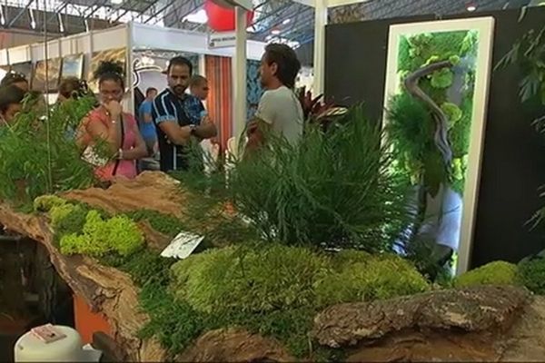 Dernier weekend pour visiter le salon de la maison - Réunion la 1ère