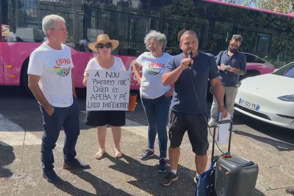 Errance animale manifestation éleveurs sous-préfecture de Saint-Pierre