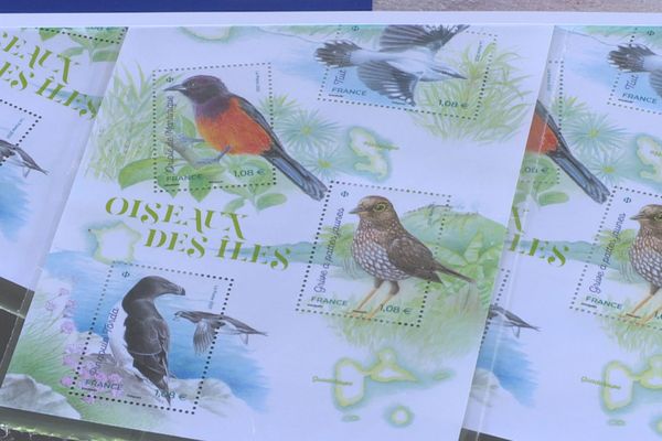 Timbres Oiseaux des Îles