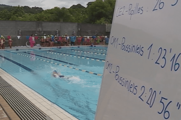 7e dolphin challenge / natation