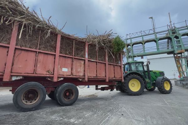 Camion canne Marie-Galante