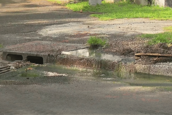 Dans la section Bas-Vent, à Deshaies, les eaux usées se déversent dans la rue. Les riverains subissent l'odeur pestilentielle qui s'en dégage - mai 2024.