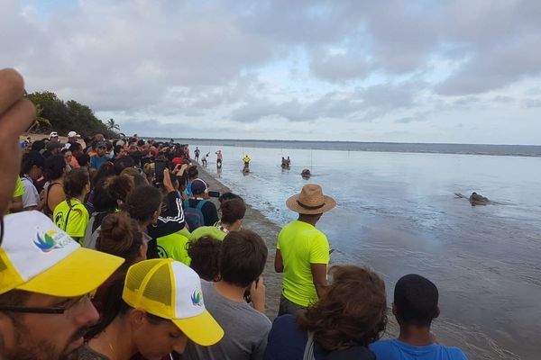 Jeux Kali'na avec l'épreuve de glisse sur vase