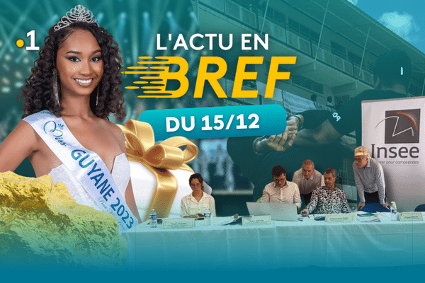 L'actu en bref du 15 décembre