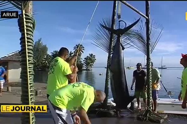 Concours de pêche : le jackpot pour un espadon de 181 kgs